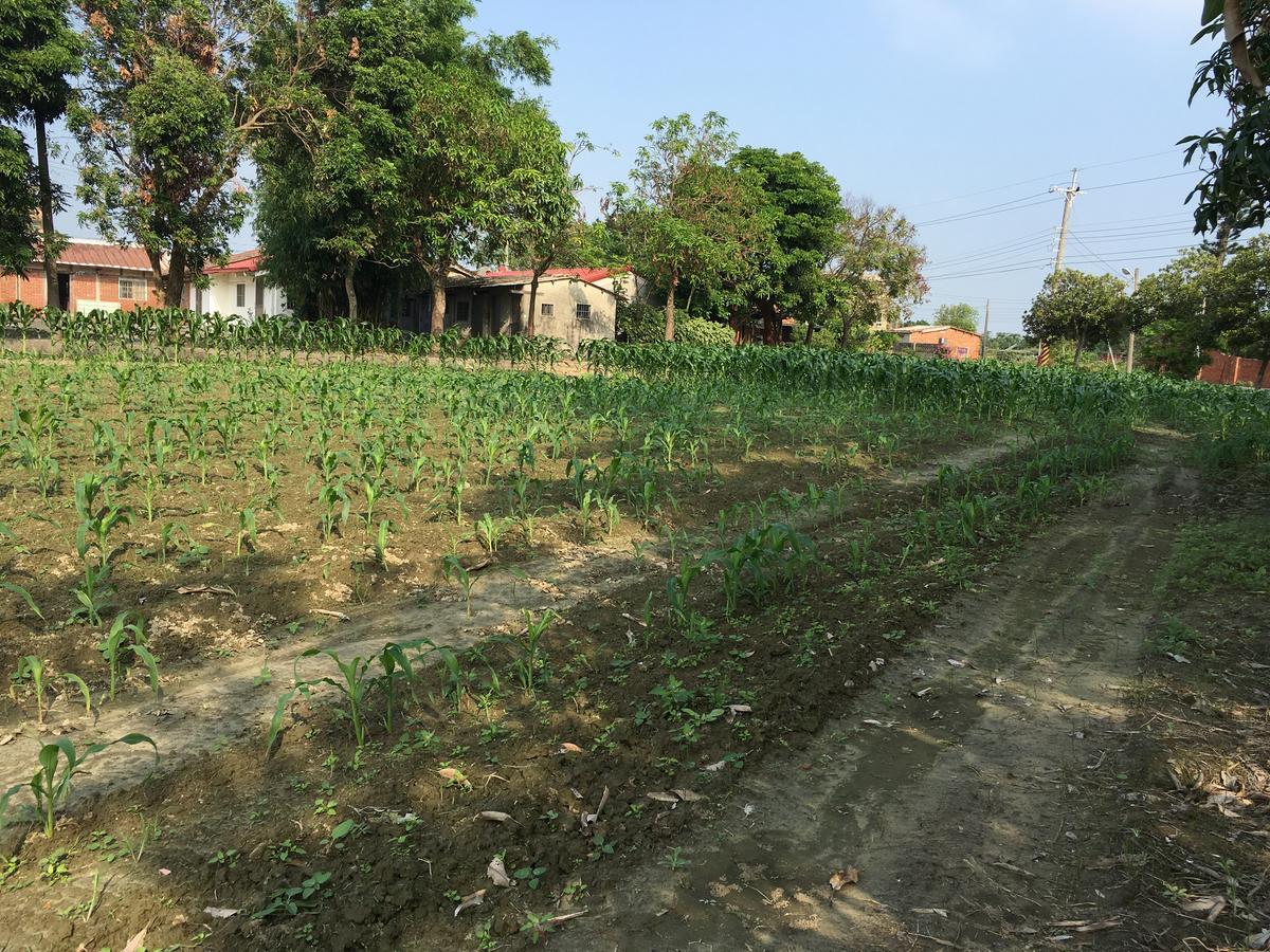 Sky Gift Traditional Farm B&B Dongshi  Exterior foto